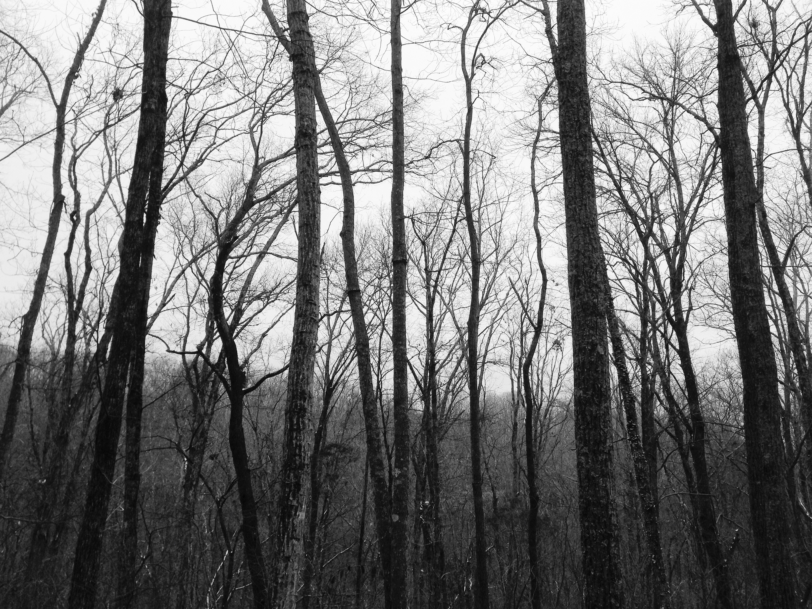 Processed with VSCOcam with b3 preset