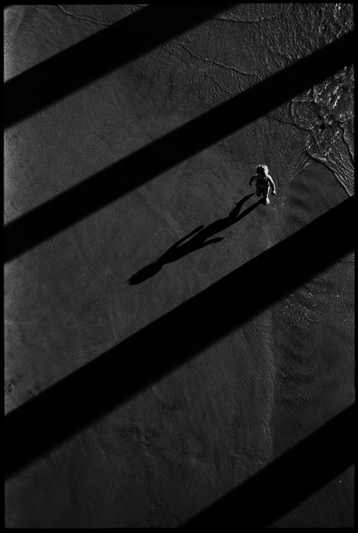Ed Templeton Pier