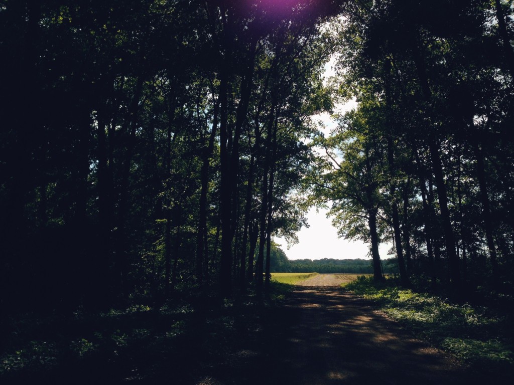 Processed with VSCOcam with m6 preset