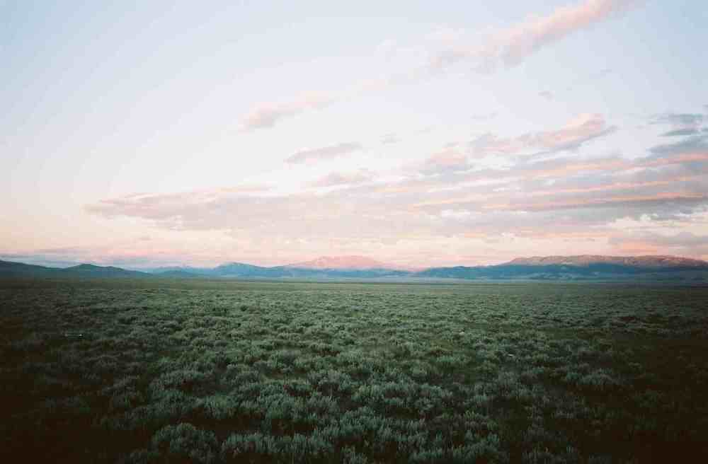 Ty Wy