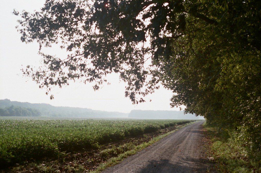 Roads like these