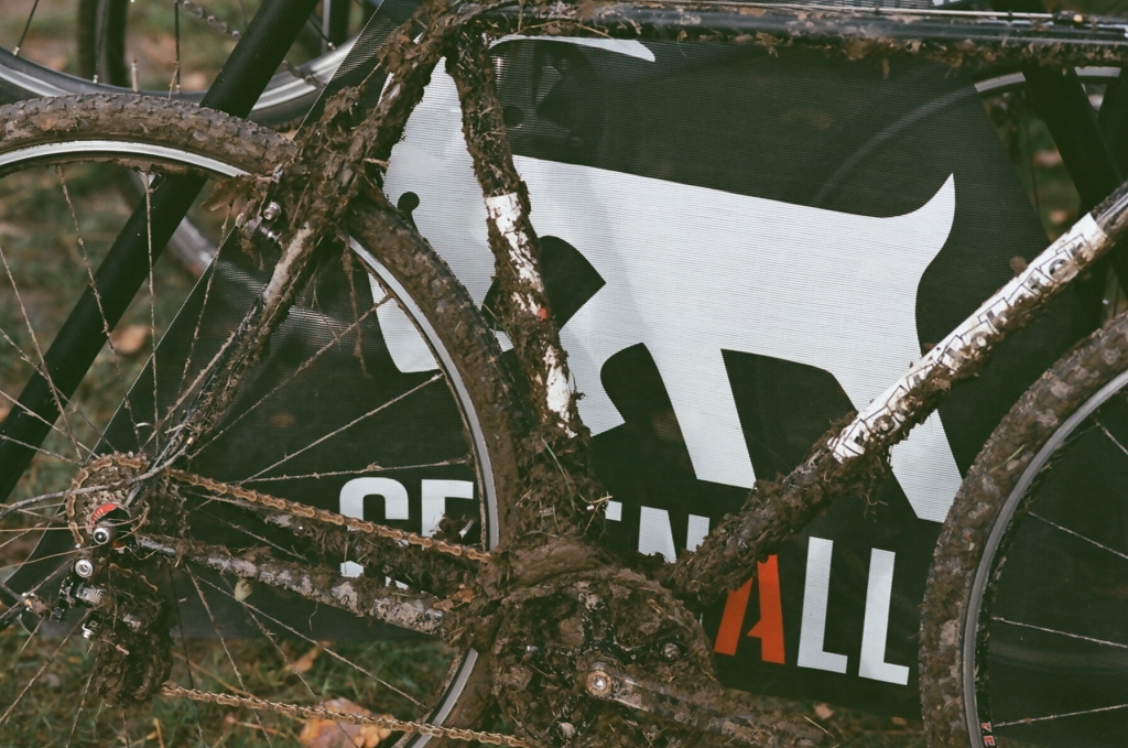 Gevenalle Mud Lobster